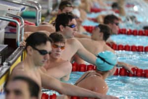 Einschwimmen: So machen es die Profis!