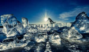 Faszinierender Sport | Wakeboarding im eiskalten Wasser