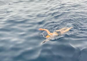 Mitten in der Nacht | Anke Höhne durchschwimmt Catalina Channel und vollendet „Triple Crown“
