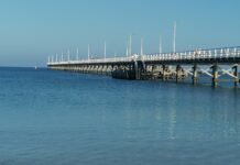 Einmal um den zweilängsten Steg der Welt | Das Busselton Jetty Swim in Australien