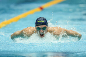 Delfinschwimmen | Feels like Flying