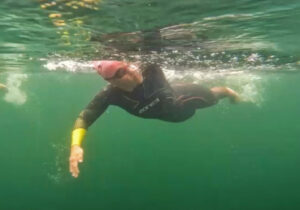 SWIM-Blog „33 Kilometer Meer“ | Wels-Watching und Kilometer-Klopping