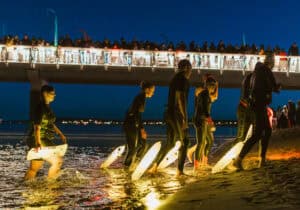 Lampions und Feuerquallen in der Ostsee | Oben leuchten die Sterne und unten leuchten wir