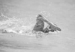 Schwimmgeschichte | Wie „Trudgen“ das Kraulschwimmen aufs nächste Level brachte
